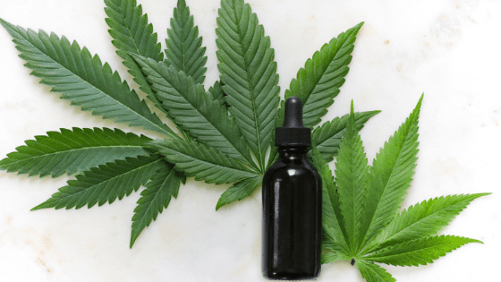 Cannabis and Skincare, What’s The Deal?